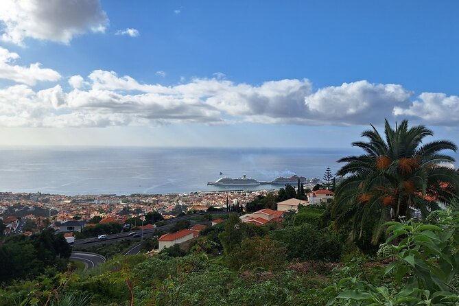 2-Hour Funchal City & Madeira Wine Experience - Stop 4: Zona Velha for old-town streets and art in doorways
