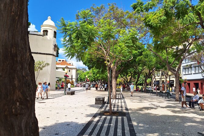 2-Hour Funchal City & Madeira Wine Experience - Stop 5: Pereira d’Oliveira for Madeira wine tasting and bolo de mel