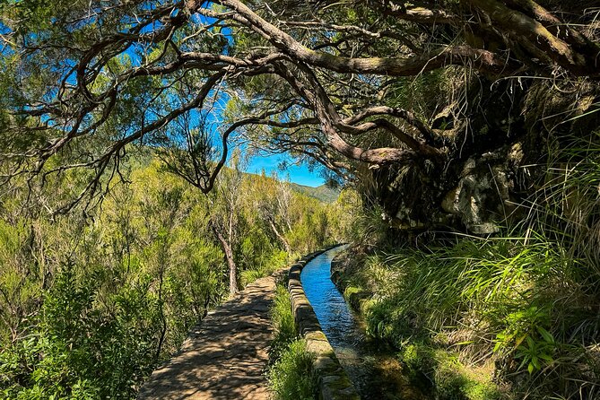 25 Fountains Levada: Hiking Tour in Madeira Rabaçal Valley (PR6) - Laurisilva Forest stop: the UNESCO part that makes everything else make sense