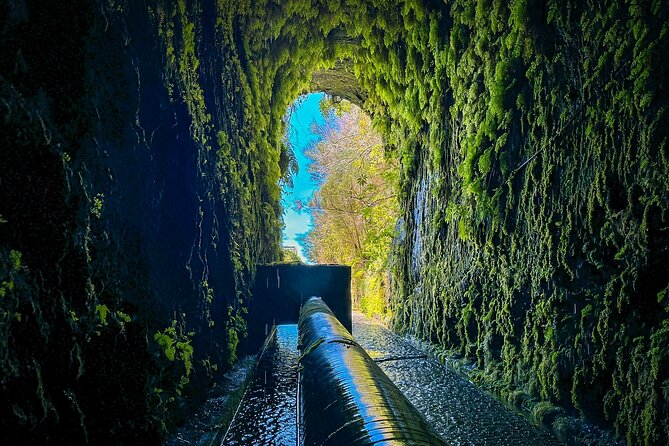 25 Fountains Levada: Hiking Tour in Madeira Rabaçal Valley (PR6) - The levada walk: waterfalls, wildlife moments, and stairs you should plan for