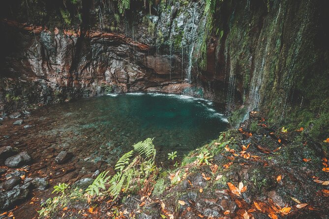 25 Fountains Levada: Hiking Tour in Madeira Rabaçal Valley (PR6) - Who should book this hike (and who should rethink it)