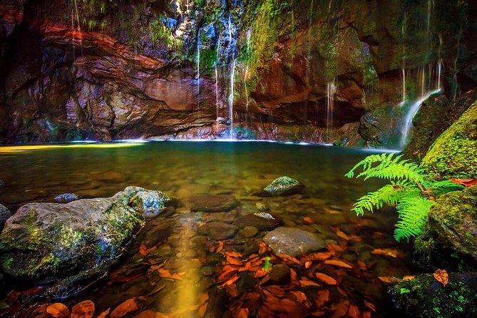 "25 Fountains" Walk / Lost In The Beautiful Forest - Key points before you go