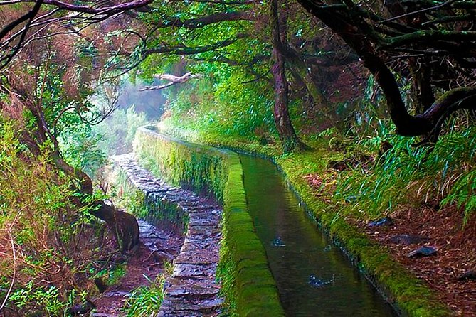 "25 Fountains" Walk / Lost In The Beautiful Forest - Rabaçal descent and Cascada da Risco: your first waterfall hit