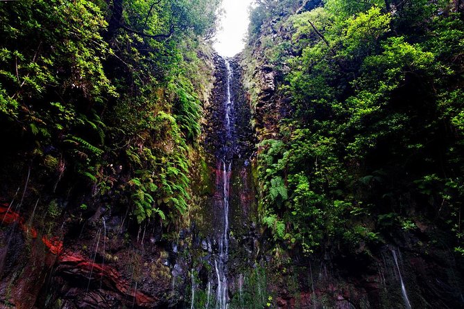 "25 Fountains" Walk / Lost In The Beautiful Forest - Crowds on the trail: steps, narrow passages, and limited room