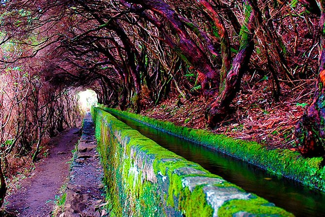 "25 Fountains" Walk / Lost In The Beautiful Forest - Footwear and weather reality: make your legs happy