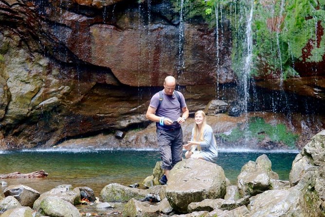 "25 Fountains" Walk / Lost In The Beautiful Forest - Price and value: $54.07 plus the official trail fee