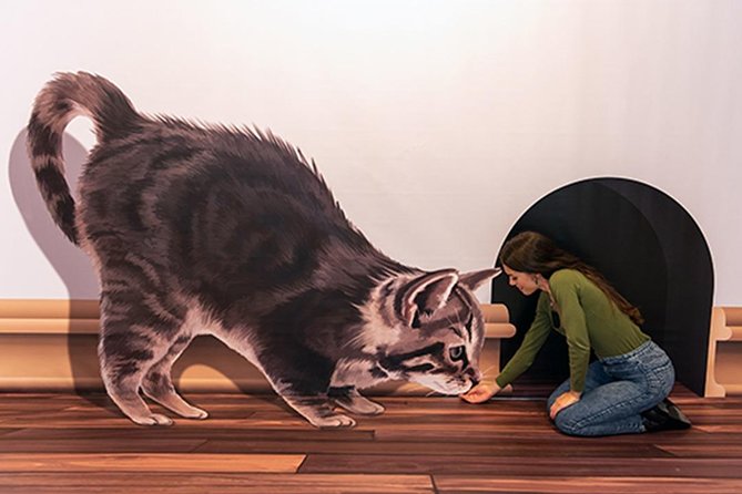 3D Fun Art Museum Funchal - Why the 3D Fun Art Museum works so well in Funchal