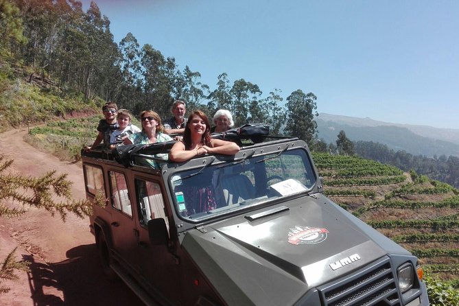 4x4 Safari Half day Poncha, Mountains, Vineyards and Cabo Girão Small group - Why This Half-Day 4x4 Works So Well in Funchal