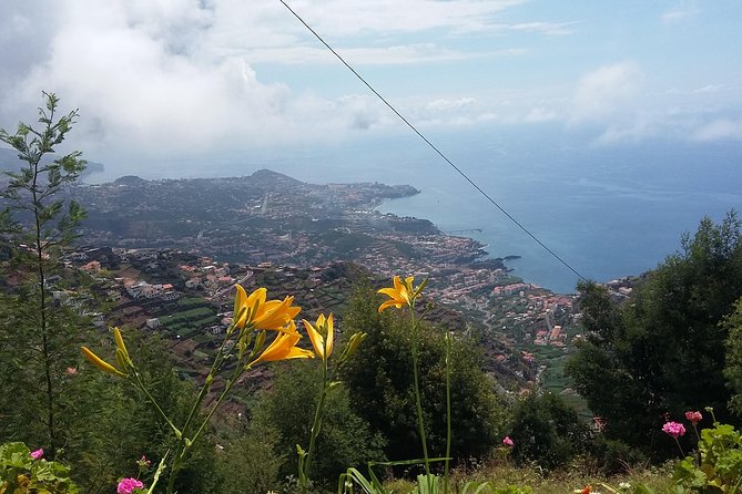 4x4 Safari Half day Poncha, Mountains, Vineyards and Cabo Girão Small group - Value and Fit: Is It Worth $60.34?