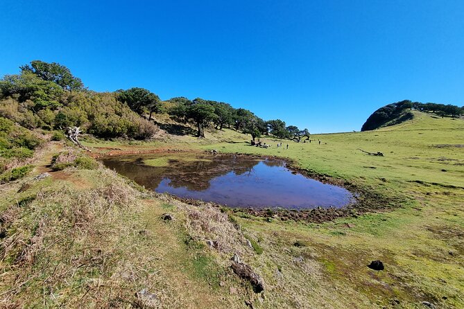 5 Hours Private tour To Porto Moniz, Rock pools, waterfalls - What to pack (and what to skip) for this private coastal day