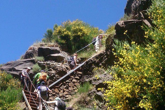 Achadas Teixeira- Pico Ruivo -& Pico pedras/Queimadas forest walk - How pickup, transport, and pacing work in real life