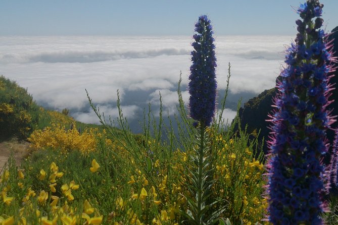 Achadas Teixeira- Pico Ruivo -& Pico pedras/Queimadas forest walk - What to pack and how to handle weather changes