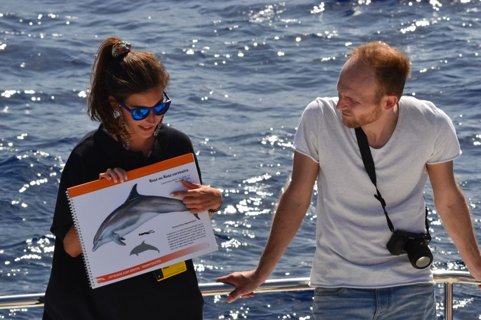 All Inclusive Whale and Dolphin Watching Luxury Tour - FAQ