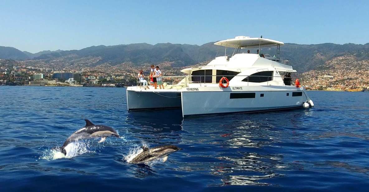 All Inclusive Whale and Dolphin Watching Luxury Tour - Cabo Girão: the 30-minute cliff stop with swim and snorkel time