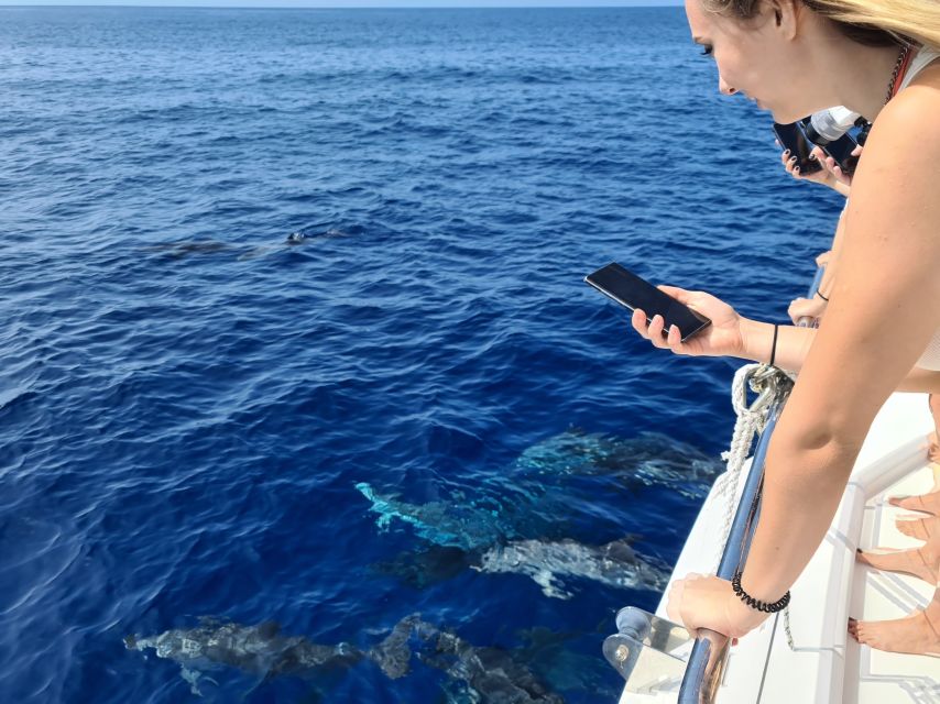 All Inclusive Whale and Dolphin Watching Luxury Tour - Drinks and snacks: the open bar part that actually matters