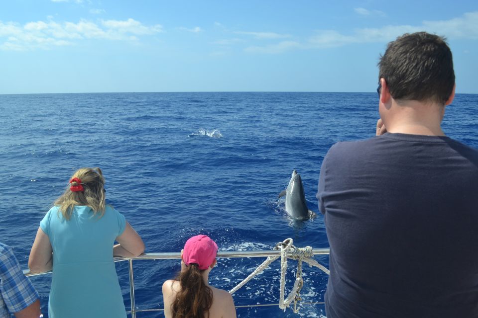 All Inclusive Whale and Dolphin Watching Luxury Tour - My booking advice: book if you want the full Madeira sea day