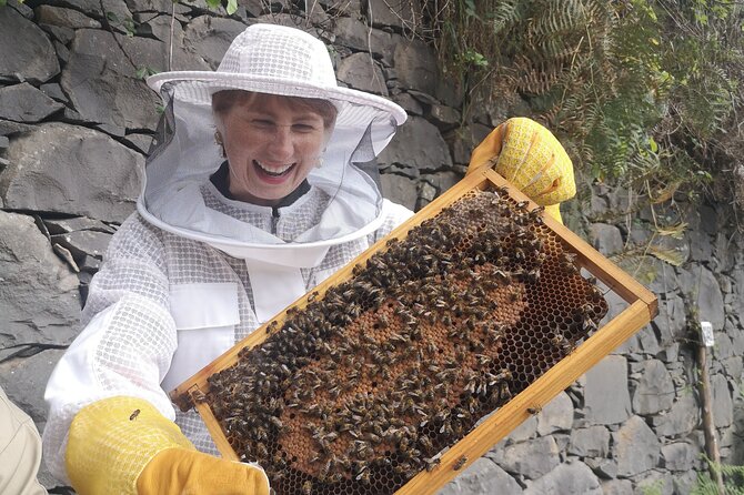 Amazing experience with Bees, honey and Pollen in Madeira Island - Before the hive: what you’re taught in the opening talk