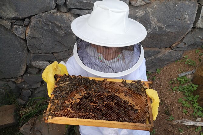 Amazing experience with Bees, honey and Pollen in Madeira Island - Price and logistics: what you’re really paying for
