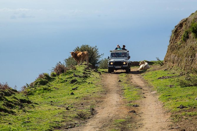 Amazing West - Jeep Safari Tour - Full Day - Shared Tour - Key highlights worth knowing