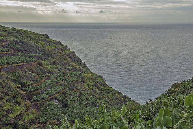 Amazing West - Jeep Safari Tour - Full Day - Shared Tour - Madeira West by Jeep: why this tour feels different
