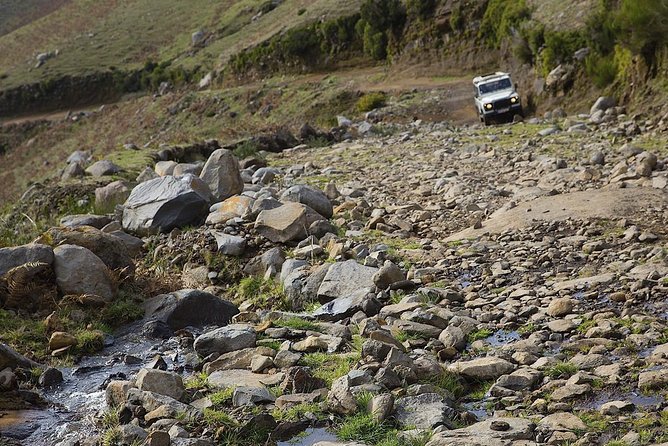 Amazing West - Jeep Safari Tour - Full Day - Shared Tour - Paul da Serra-style plateau stop: clouds, altitude, and big views
