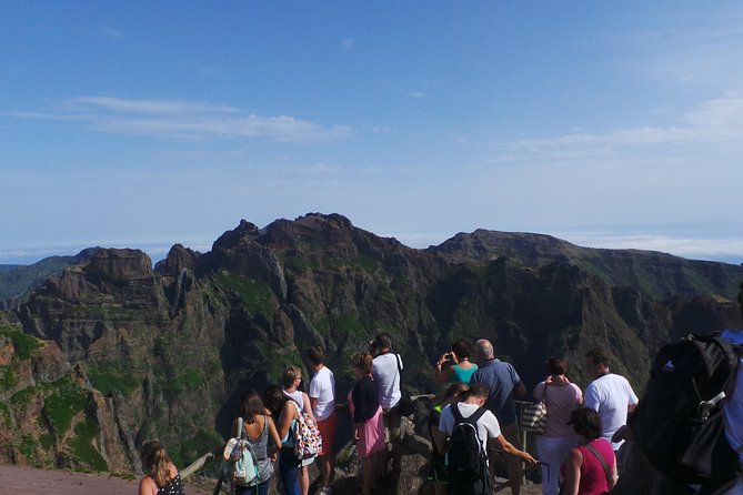 Arieiro Peak and Cristo Rei 4x4 Experience + Dolphins Watching - From catamaran deck to real sightings: dolphins, whales, and how to spot them