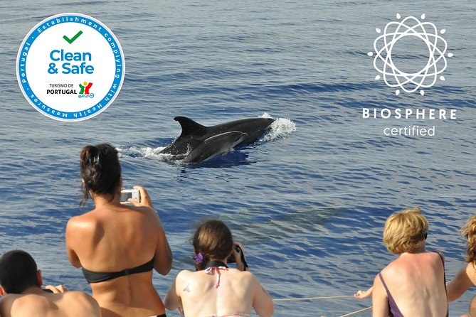 Arieiro Peak and Cristo Rei 4x4 Experience + Dolphins Watching - Small extras that make the day smoother: WiFi, safety, disinfected vehicles