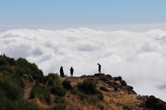 Arieiro Peak, Santo Serra, Cristo Rei in Open Roof 4x4 Experience - What this tour costs and why it’s decent value