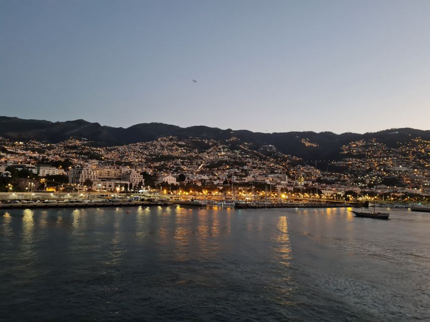 Audio Guide Citywalk Funchal for Cruise Guests - Price, Smartphone Limits, and When This Really Makes Sense