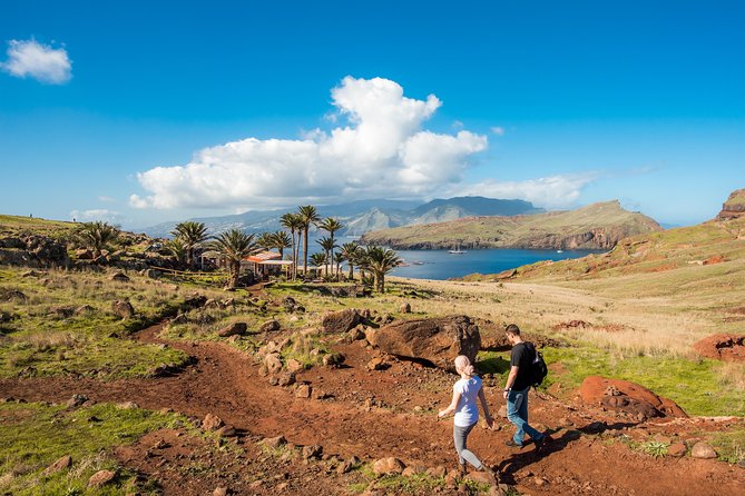 Basic Tour 1 - Shuttle (Quinta do Lorde to Cais do Sardinha) (one way) - Quick planning tips so this stays stress-free