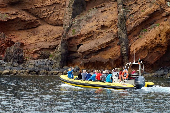 Basic Tour 2 - Quinta do Lorde to Cais do Sardinha and return - Who should book this tour (and who might skip it)