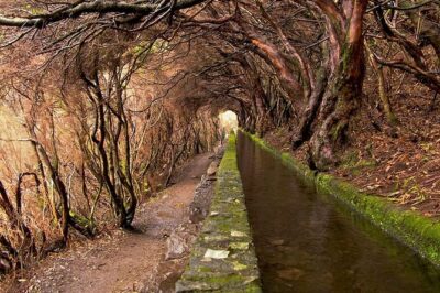 Beautiful walks in Rabaçal, Madeira - Key things to love about the Rabaçal walk