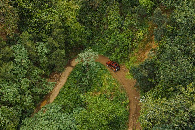 Bespoke adventure in Madeira with pick-up - Off-road Madeira with a local guide who picks the best angles