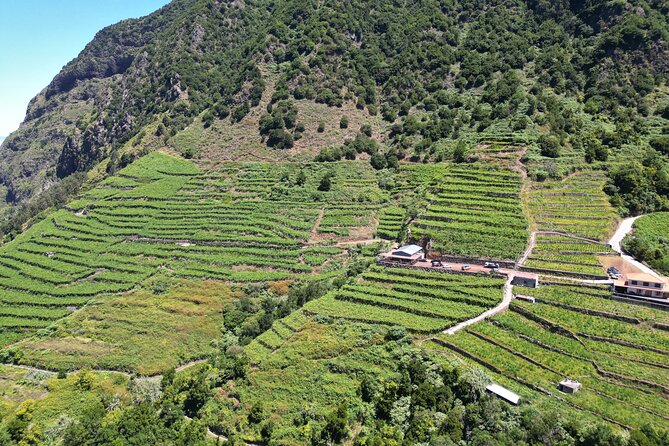 Bestselling Wine Tour, Tasting Experience & Skywalk 4x4 Adventure - Price and what you actually get for $66.01