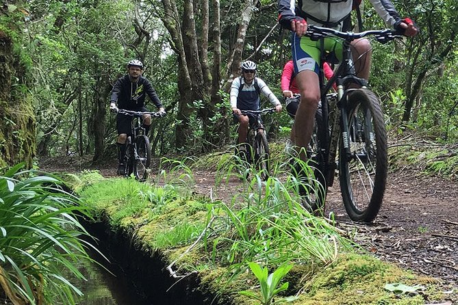 Botanical Trails of Madeira. Mountain biking Trail Experience - Entering the ride: where this starts and what the 9:00 plan is really like