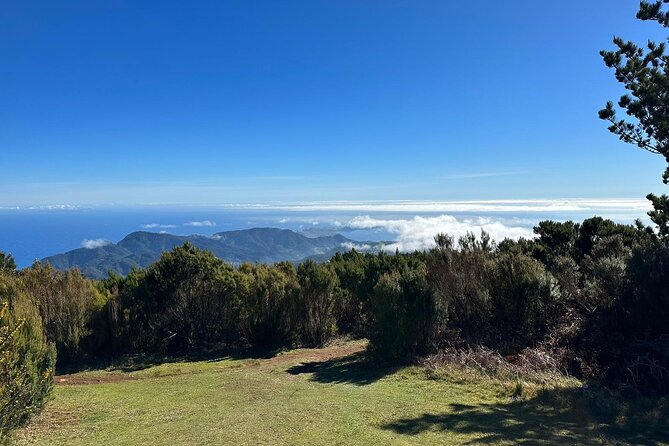 Botanical Trails of Madeira. Mountain biking Trail Experience - The Camacha segment: light lunch, colorful streets, then a view-heavy finish