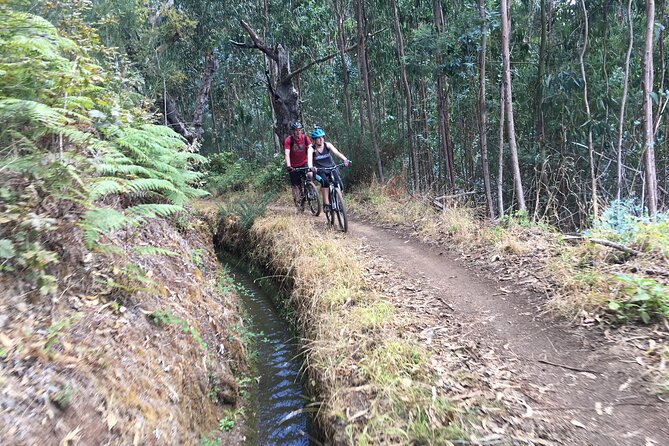 Botanical Trails of Madeira. Mountain biking Trail Experience - Price and value: what you’re paying for (and what you must pay yourself)