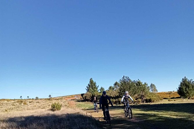Botanical Trails of Madeira. Mountain biking Trail Experience - Weather, comfort, and small planning choices that matter