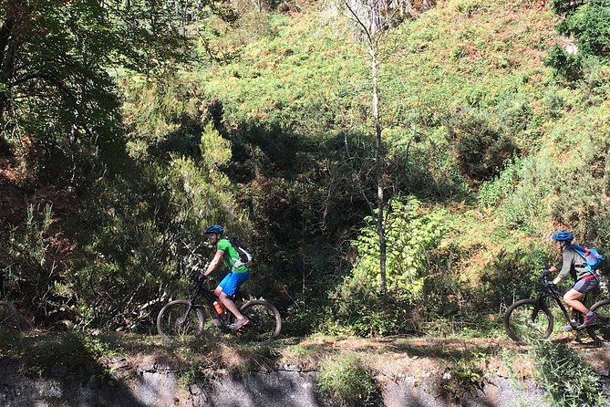Botanical Trails of Madeira. Mountain biking Trail Experience - Poiso start at 1,400 m: the first climb that sets the tone