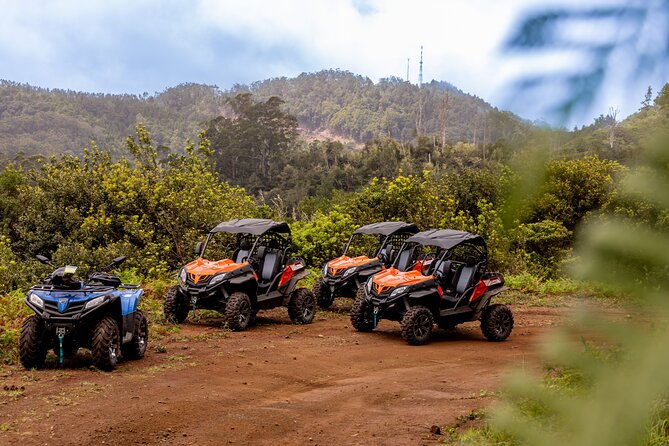 Buggy Adventure in Madeira off Road - Entering the Trails of Fajã dos Rolos and the UNESCO Laurissilva Views