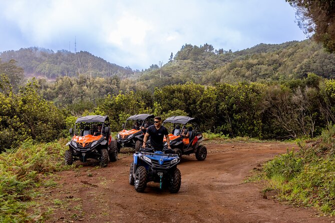 Buggy Adventure in Madeira off Road - Stop for Forestry at Casa das Funduras: Why This Place Matters