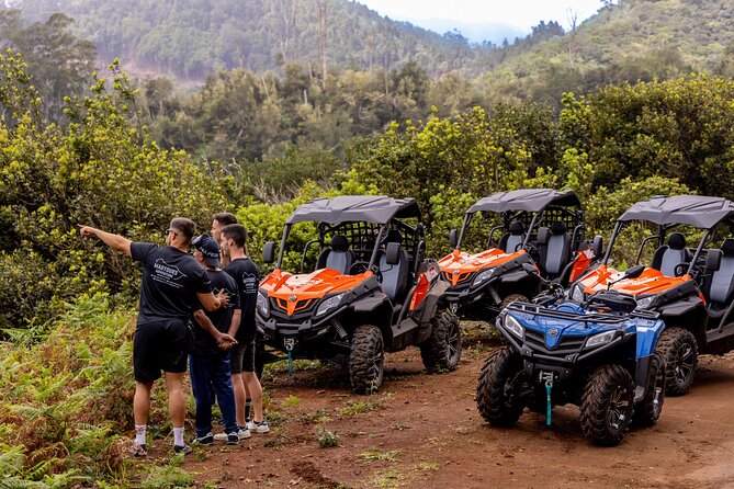 Buggy Adventure in Madeira off Road - Price and Value: $150.52 Per Group for Real Off-Road Time