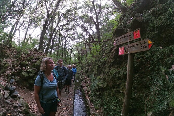 Caldeirão Verde Levada (PR 9) - Guided Madeira Levada Walk - Storybook Queimadas and the Caldeirão Verde payoff