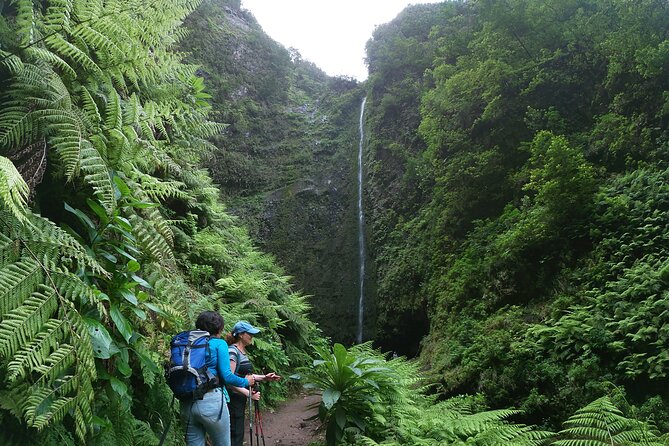 Caldeirão Verde Levada (PR 9) - Guided Madeira Levada Walk - Fitness, pace, and group size: who should book and who should skip
