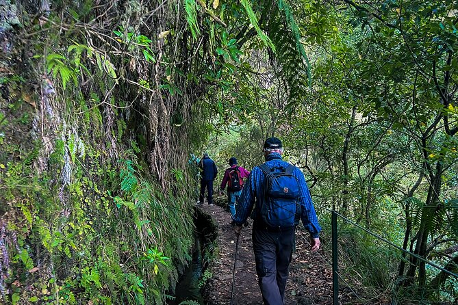 Caldeirão Verde Levada (PR 9) - Guided Madeira Levada Walk - Price ($55.12) and value: what’s included, what costs extra