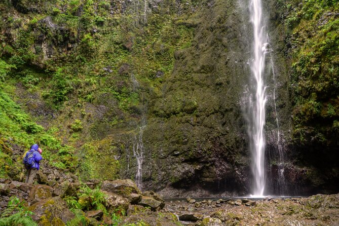 Caldeirão Verde Levada (PR 9) - Guided Madeira Levada Walk - Pickup, start time, and what the morning actually feels like