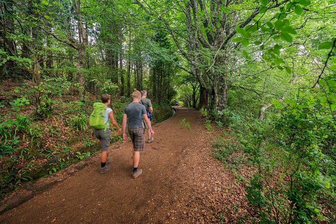 Caldeirão Verde Levadas Walk in Madeira - How this levada walk feels once you’re on the trail