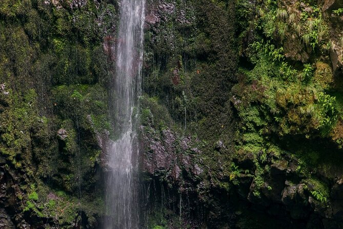 Caldeirão Verde Levadas Walk in Madeira - Tunnels, footing, and the gear that saves your day