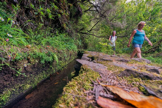 Caldeirão Verde Levadas Walk in Madeira - The guide experience: local storytelling that can make or break the day