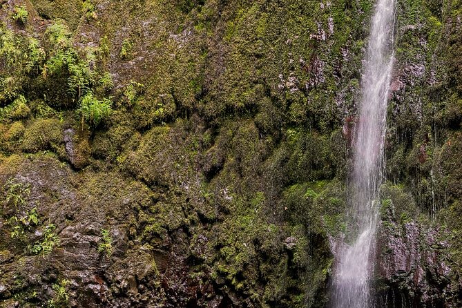 Caldeirão Verde Levadas Walk in Madeira - Group size and trail crowding: what to expect on a single route